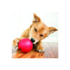 KONG Biscuit Ball™ - Durable Rubber, Treat Dispensing Toy - For Large Dogs