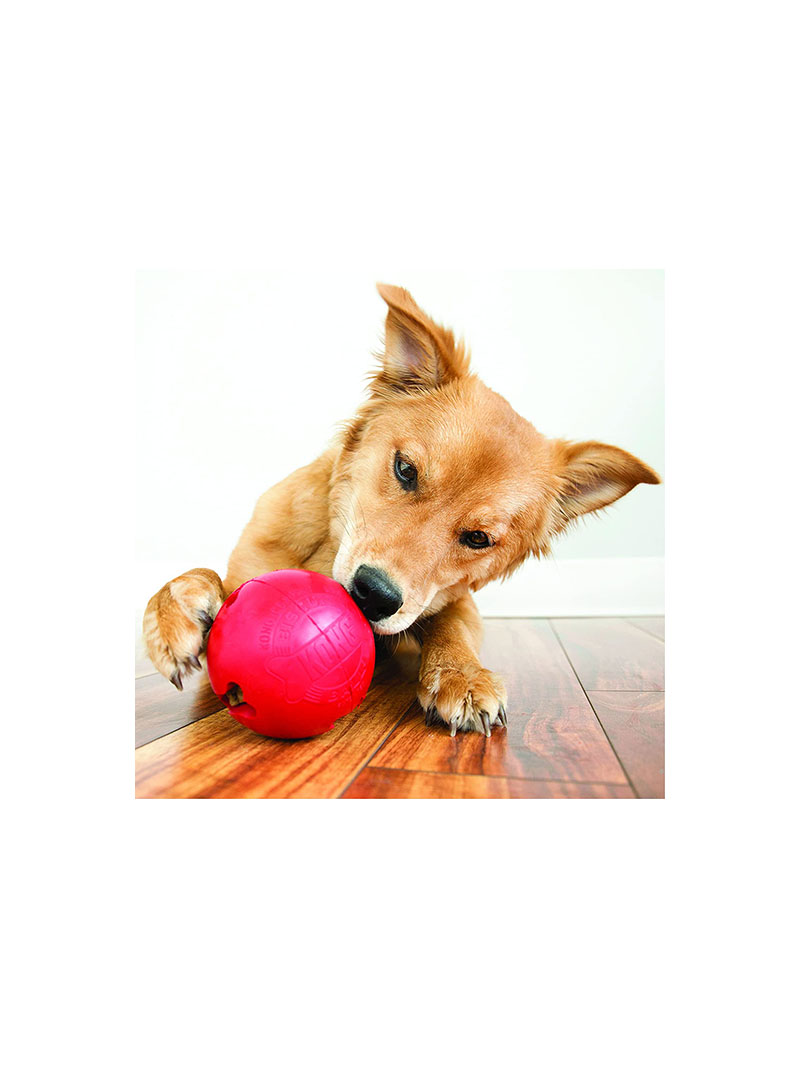 KONG Biscuit Ball™ - Durable Rubber, Treat Dispensing Toy - For Large Dogs