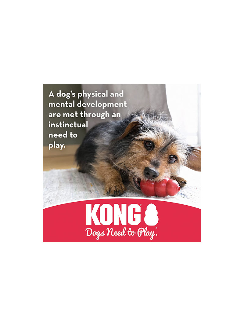 KONG Biscuit Ball™ - Durable Rubber, Treat Dispensing Toy - For Large Dogs