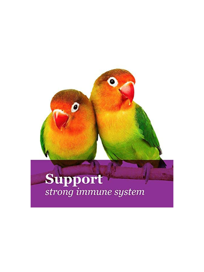 F.M. Brown Tropical Carnival Natural Cockatiel-Lovebird Food, 2.5-Pound Package