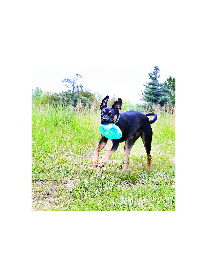 KONG Jumbler™ Football - Interactive Fetch Dog Toy with Tennis Ball - For Large/Extra Large Dogs